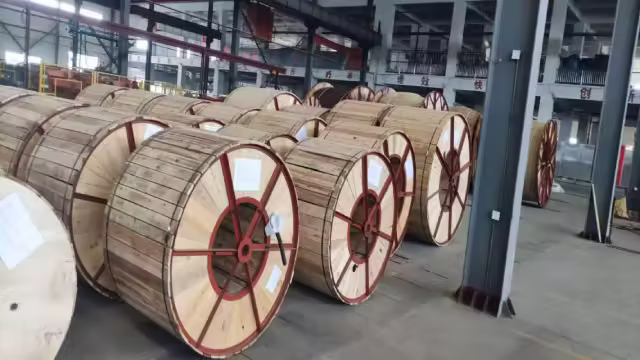 Dây cáp điện Việt Nam